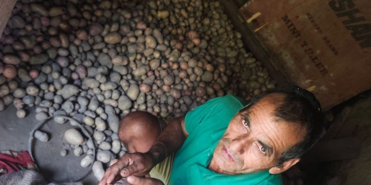 राकम कर्णालीका श्रमवीर दम्पती , बेमौसमी तरकारीबाट वार्षिक लाखौं आम्दानी